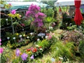 Flora art 2011